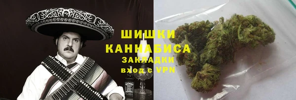 крисы Липки