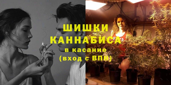 ГАЛЛЮЦИНОГЕННЫЕ ГРИБЫ Балахна