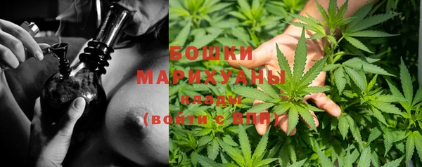 ГАЛЛЮЦИНОГЕННЫЕ ГРИБЫ Балахна