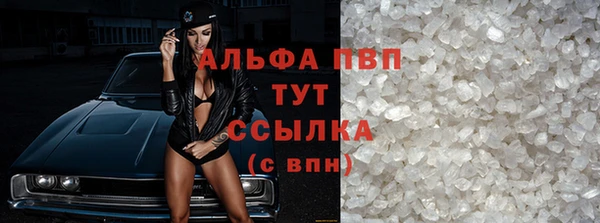 стафф Майский