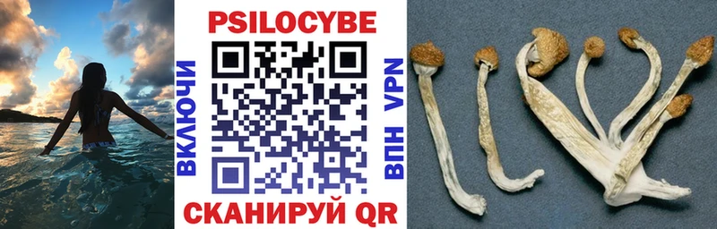 купить   Добрянка  МЕГА ссылка  Псилоцибиновые грибы Psilocybine cubensis 