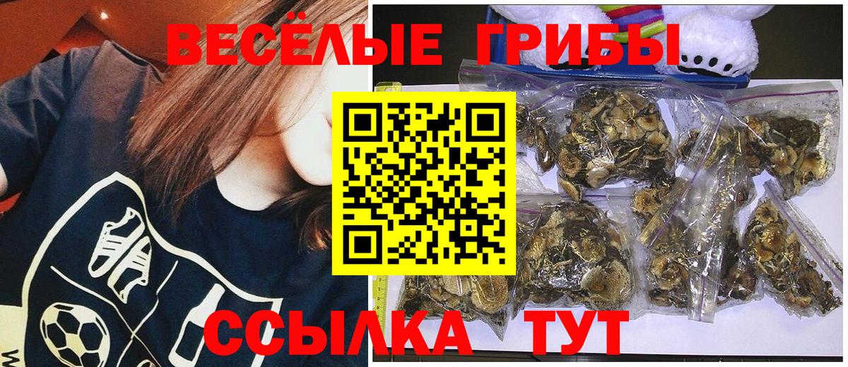 Галлюциногенные грибы мицелий  Псилоцибиновые грибы Magic Shrooms  Вход с VPN  Добрянка 