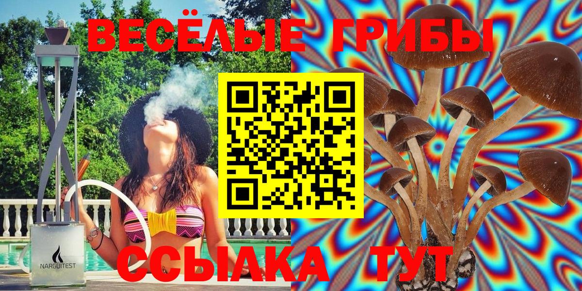 Псилоцибиновые грибы мухоморы  где найти   Галлюциногенные грибы мухоморы  Добрянка 
